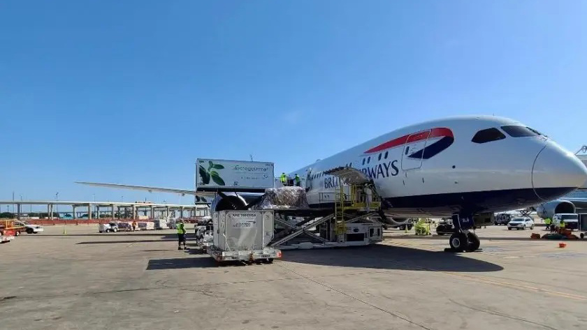 B787-10-1.jpeg