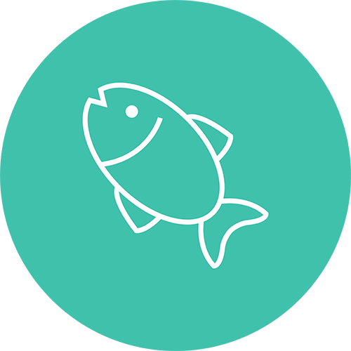 Fresh fish