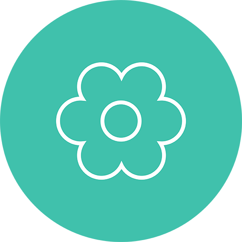 Fresh flowers
