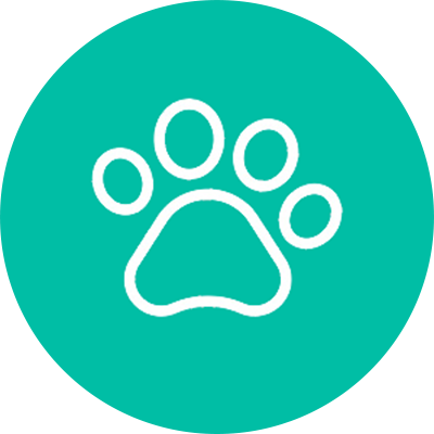 Live Animals