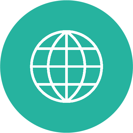 Icon Network Image