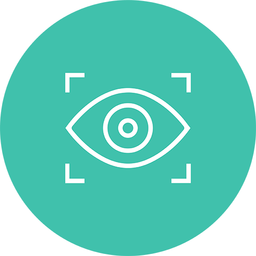 surveillance icon
